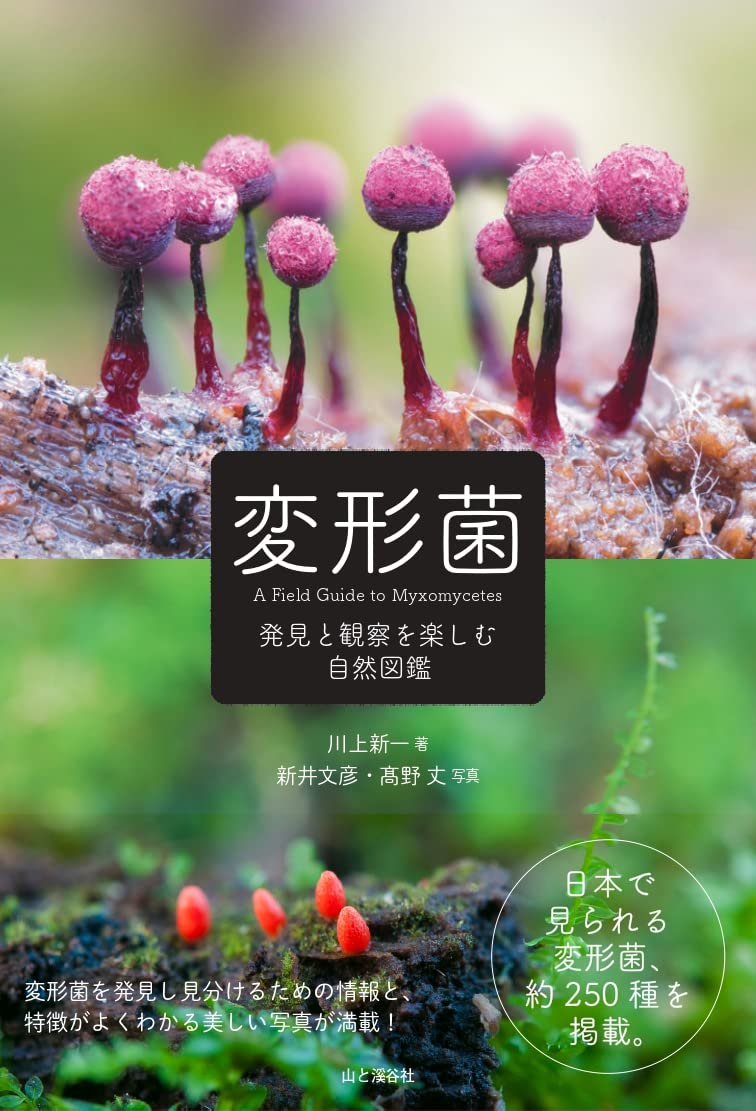 変形菌 発見と観察を楽しむ自然図鑑 | 川上 新一, 新井 文彦, 髙野 丈
